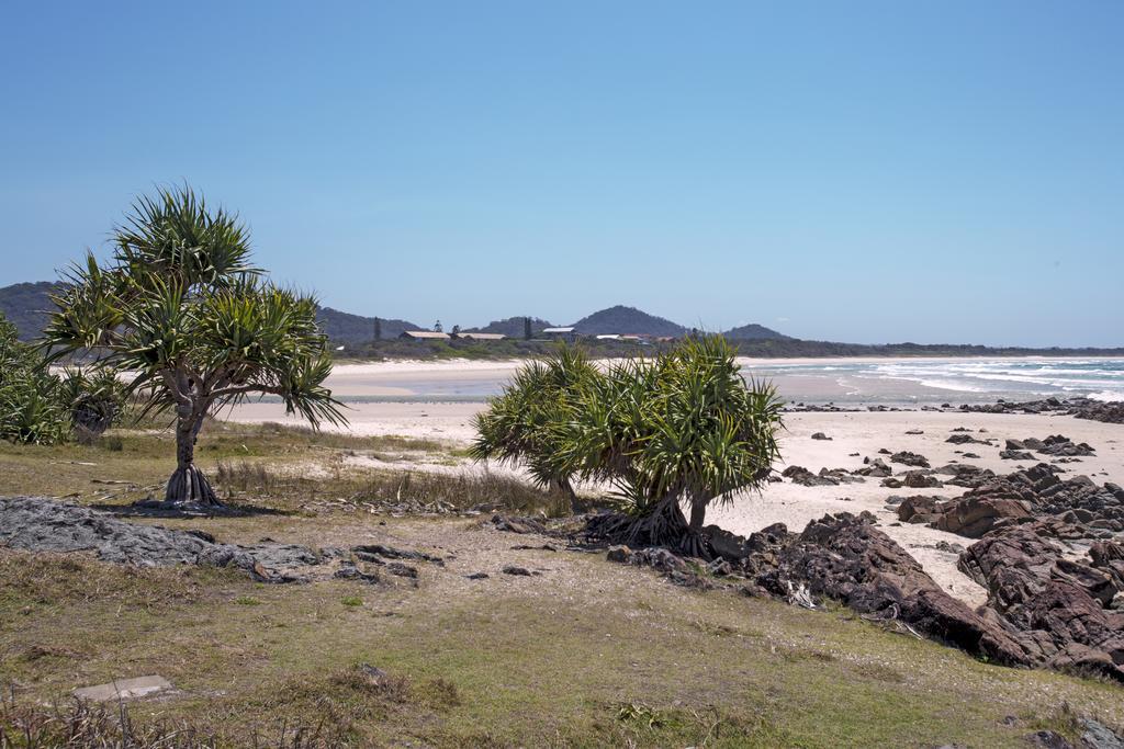 On The Beach At Hastings Point Exteriör bild
